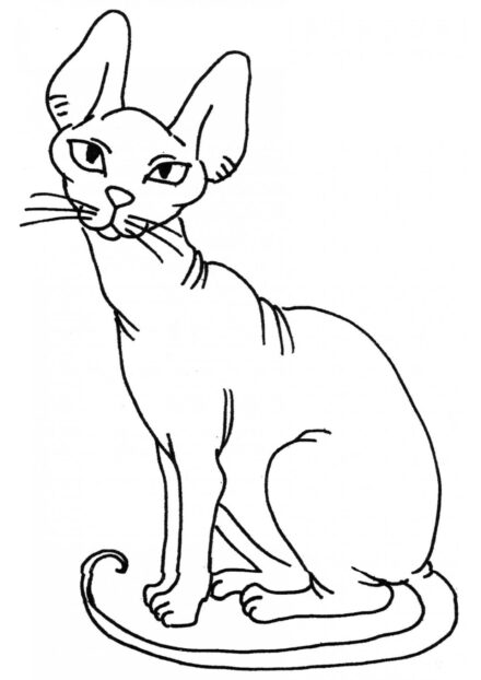 Colouring Page: Sphinx Cat