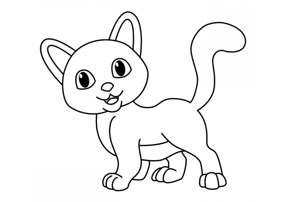 Colouring Page: Curious Cat