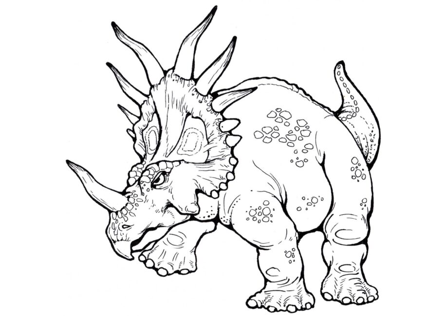 Colouring Page of Styracosaurus