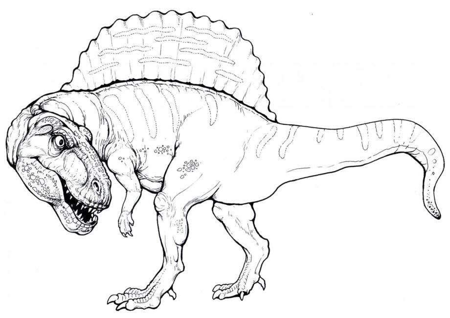 Colouring Page of Spinosaurus