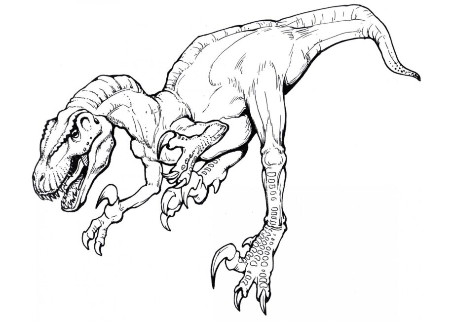 Colouring Page of Megaraptor