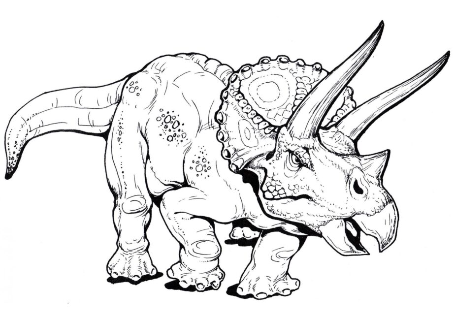 Colouring Page of Triceratops