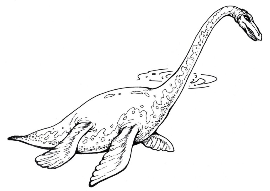 Colouring Page of Plesiosaurus