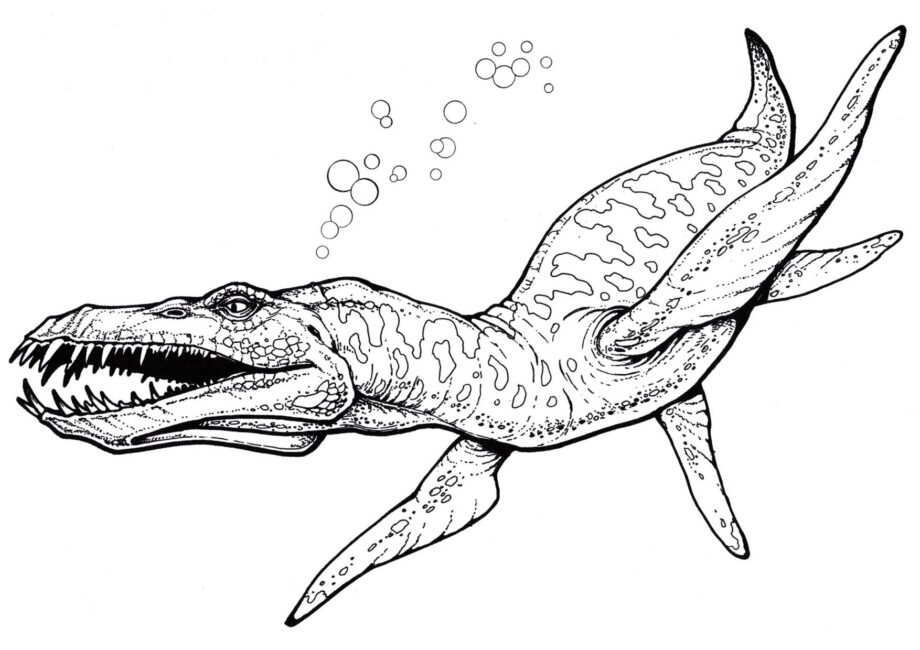 Colouring Page of Liopleurodon