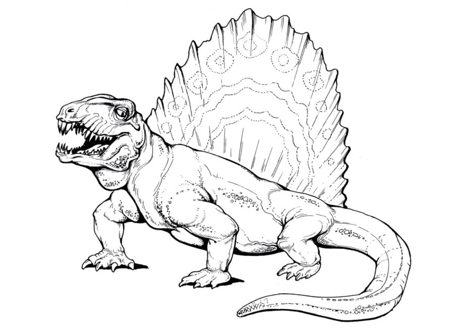 Colouring Page of Dimetrodon