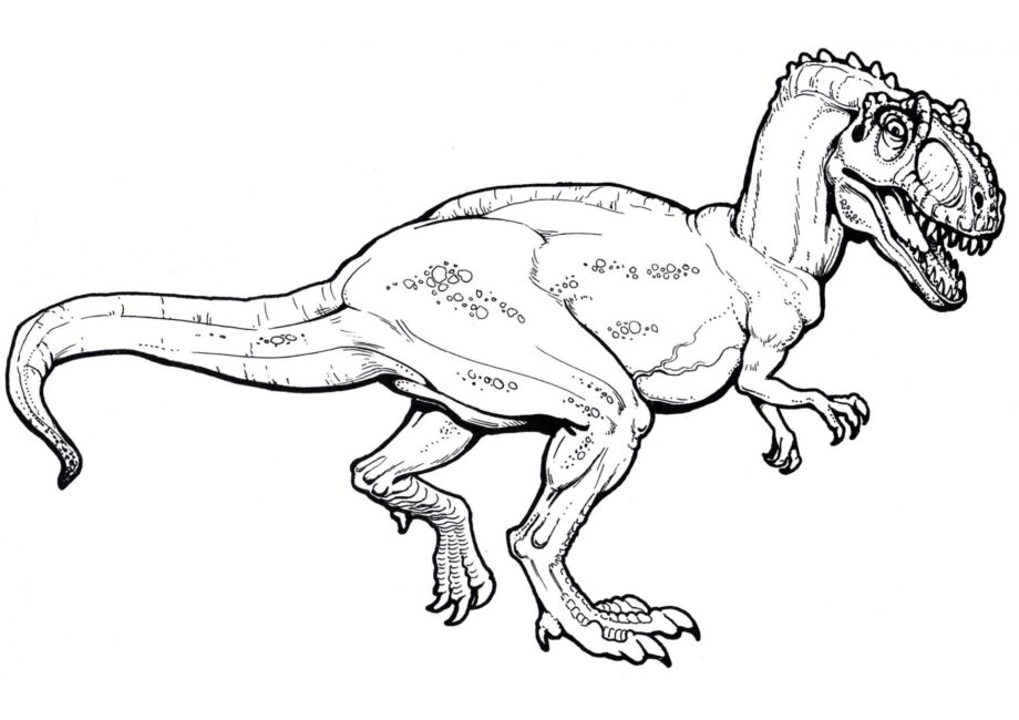 Colouring Page of Allosaurus