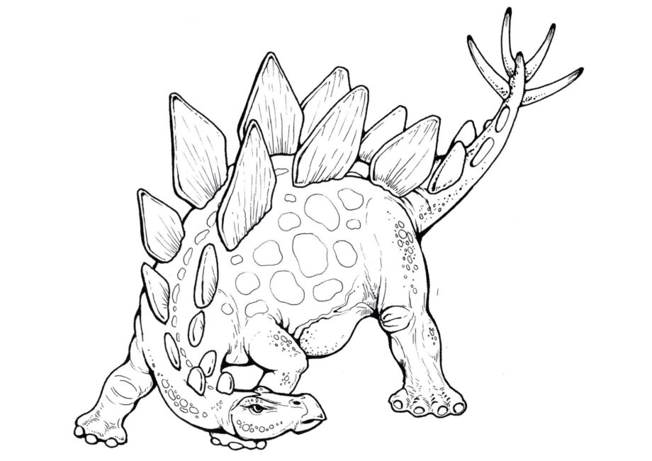 Colouring Page of Stegosaurus