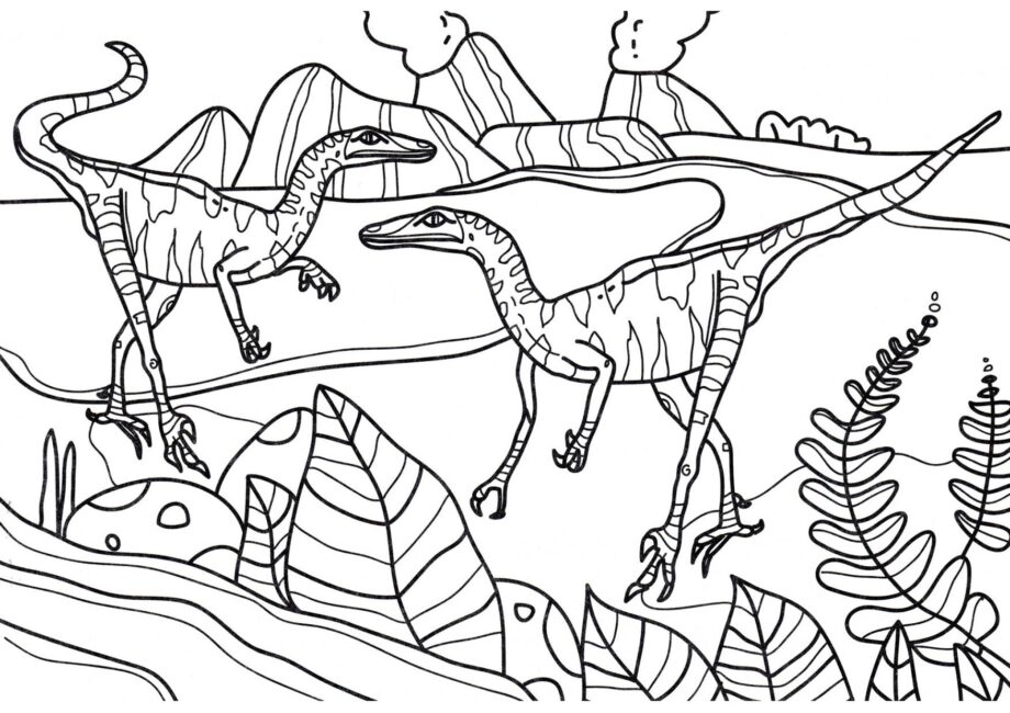 Colouring Page of Troodon