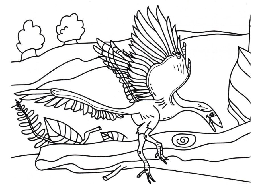 Colouring Page of Archaeopteryx