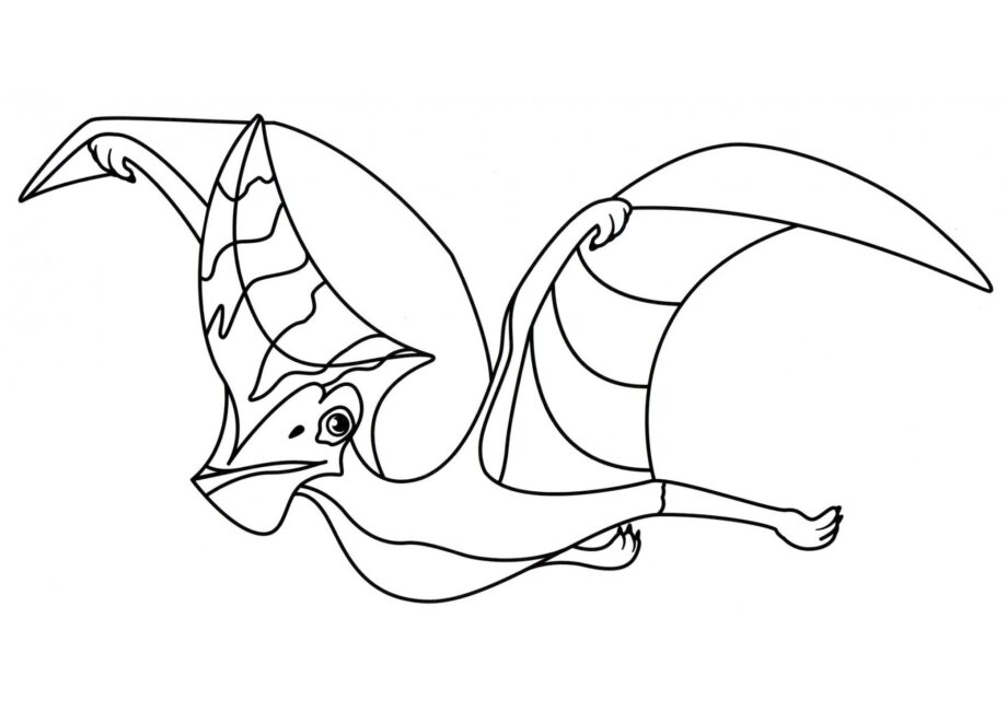 Colouring Page of Tapejara