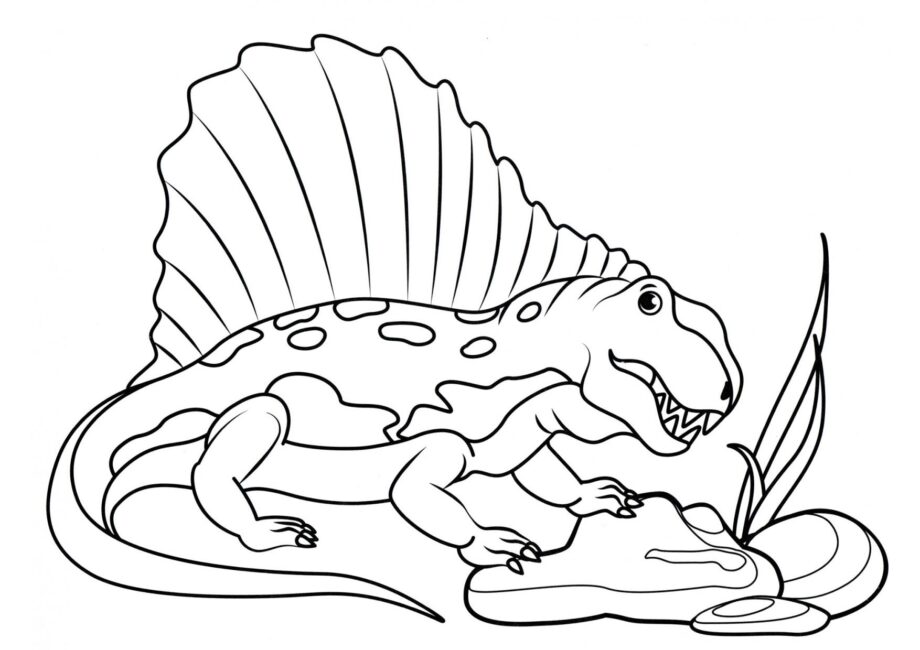 Colouring Page of Beautiful Dimetrodon