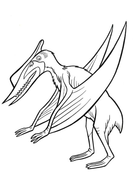 Colouring Page of Pterodactyl Standing on Legs